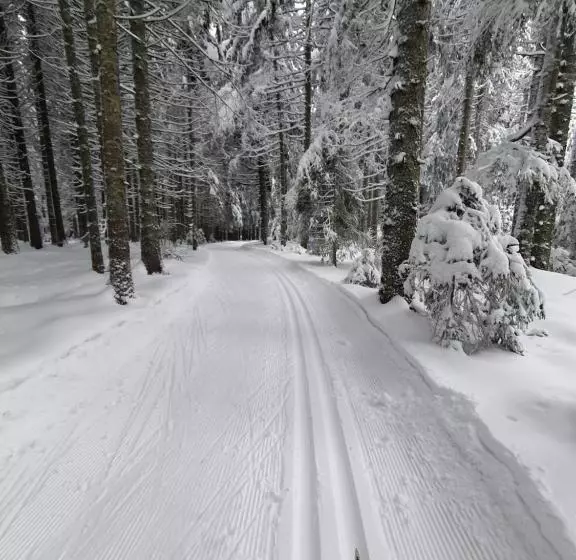 Ferienhaus Sonnengelb Im Herzen Des Schwarzwaldes
