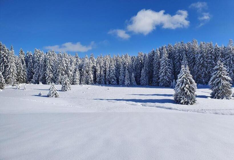 Ferienhaus Sonnengelb Im Herzen Des Schwarzwaldes