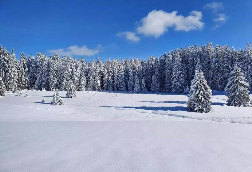 Ferienhaus Sonnengelb Im Herzen Des Schwarzwaldes