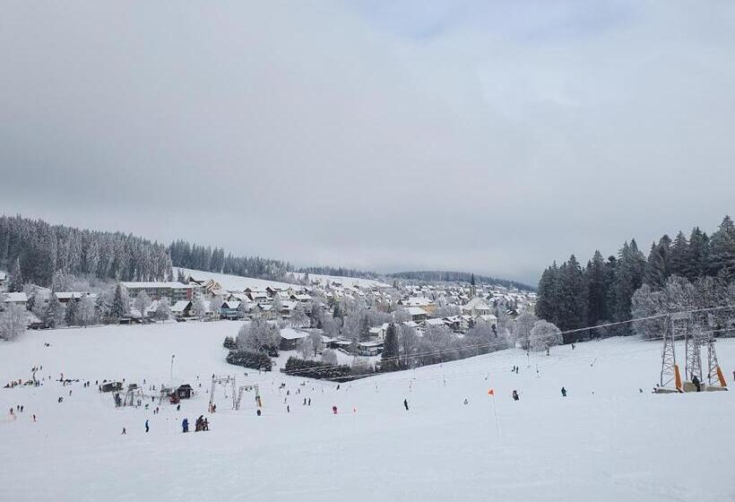 Ferienhaus Sonnengelb Im Herzen Des Schwarzwaldes
