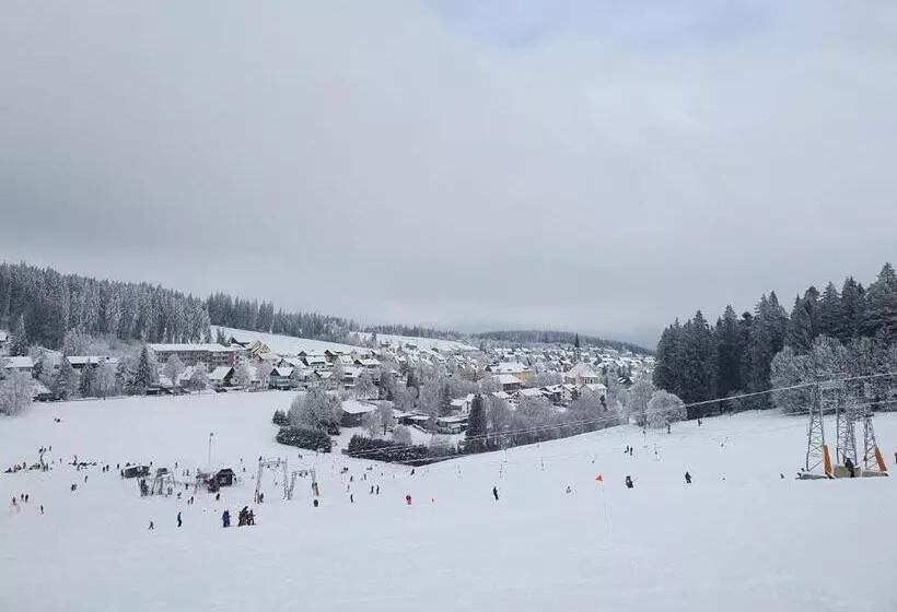Ferienhaus Sonnengelb Im Herzen Des Schwarzwaldes