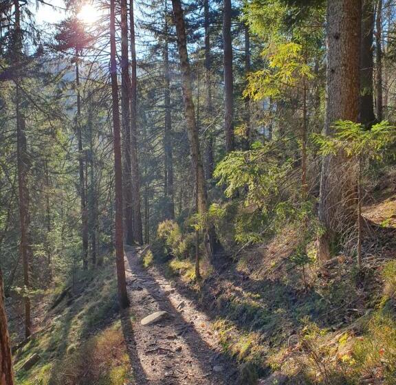 Ferienhaus Sonnengelb Im Herzen Des Schwarzwaldes