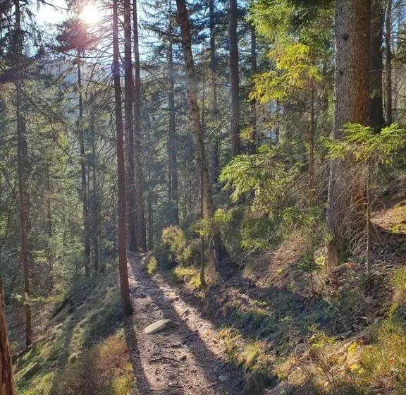 Ferienhaus Sonnengelb Im Herzen Des Schwarzwaldes