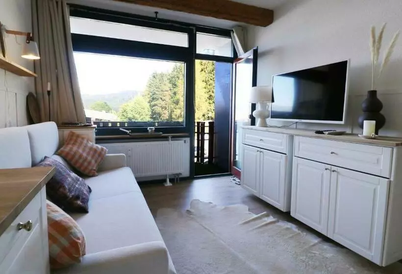 Kurhotel Schluchsee App 24011   Waldblick   Indoorpool, Schluchsee