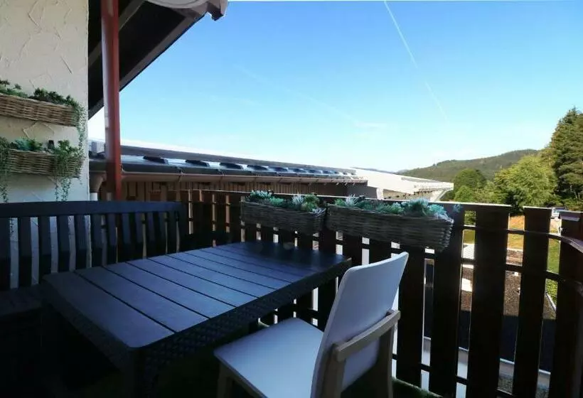 Kurhotel Schluchsee App 24011   Waldblick   Indoorpool, Schluchsee