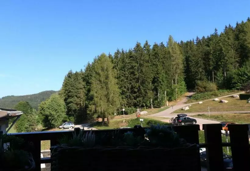 Kurhotel Schluchsee App 24011   Waldblick   Indoorpool, Schluchsee