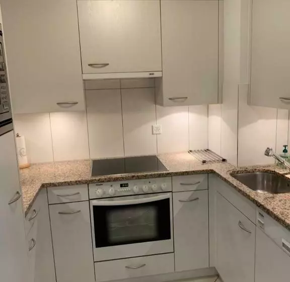 Apartment Flims Waldhaus   Surselvapark A4