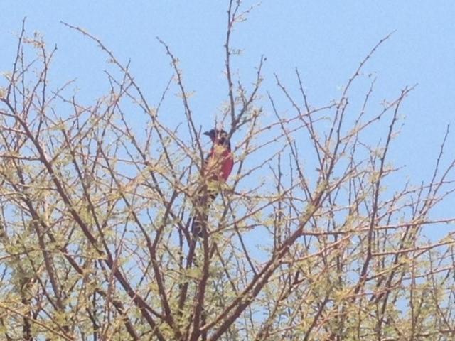 Elements Private Golf Reserve House 15