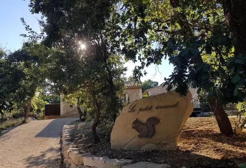 Le Petit écureuil
