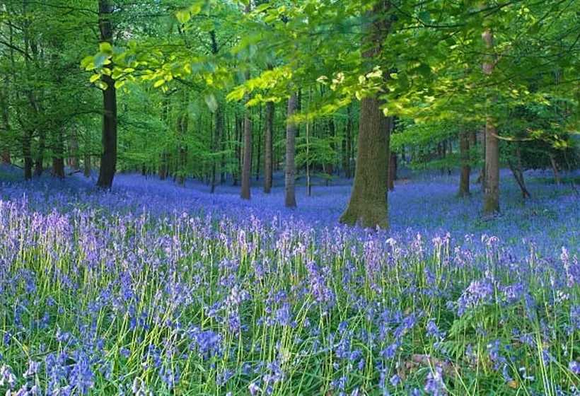 Deers Leap A Modern New Personal Holiday Let