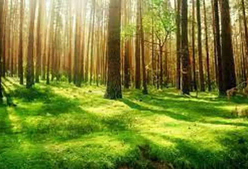 Deers Leap A Modern New Personal Holiday Let