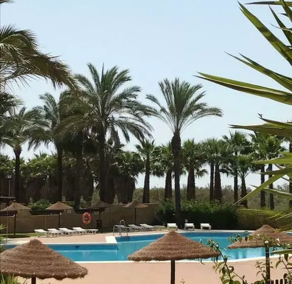 Planta Baja De Un Dormitorio Vistas Piscina