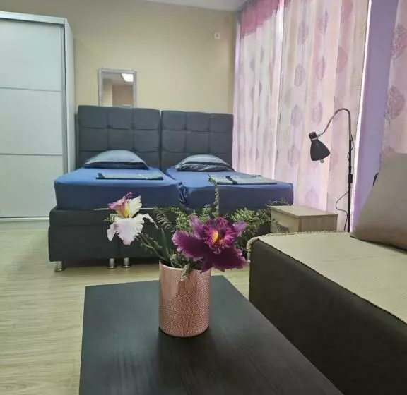 Leni Apartman U Centru Zajecara