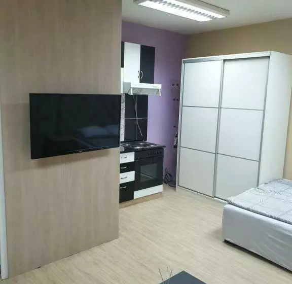 Leni Apartman U Centru Zajecara