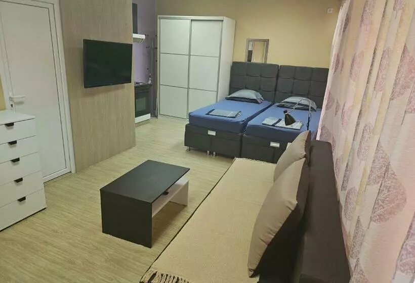 Leni Apartman U Centru Zajecara