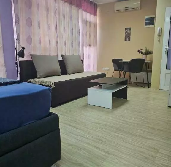 Leni Apartman U Centru Zajecara