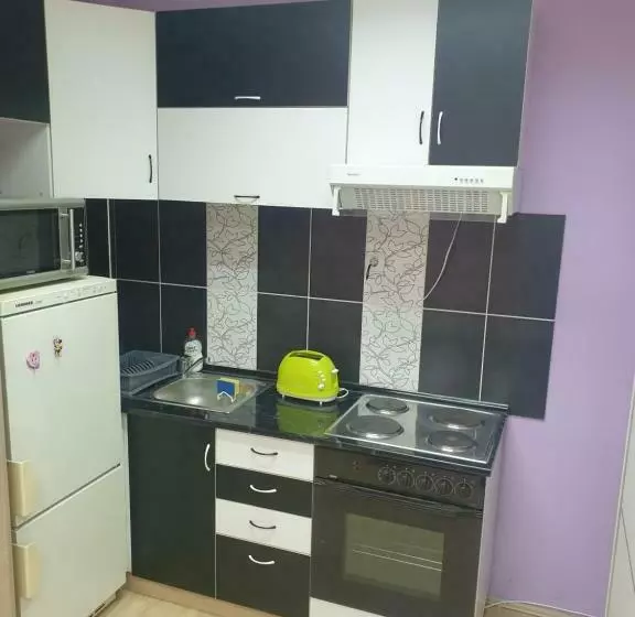Leni Apartman U Centru Zajecara