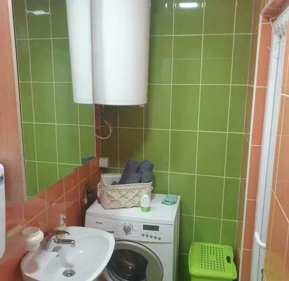 Leni Apartman U Centru Zajecara