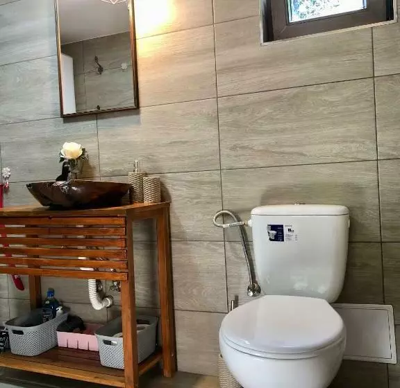 Domeniul Horj Casa Din Stejar Moisei