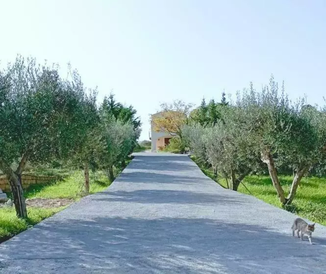 Le 3 Rose Apartments