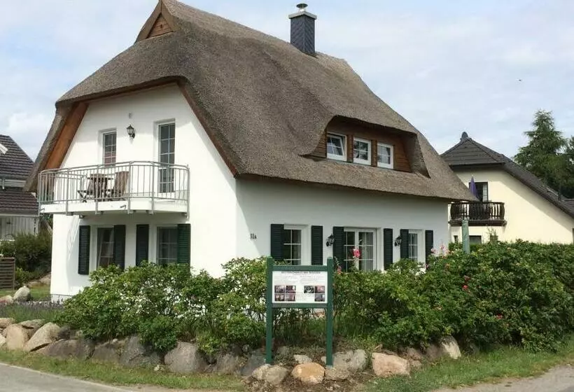 Reetdachhaus Am Bodden Middelhagen