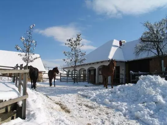 Bauernhof Ablasser