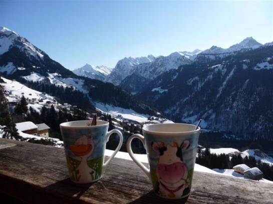 Familienbauernhof Burtscher