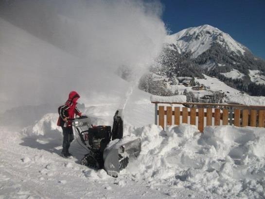 Familienbauernhof Burtscher