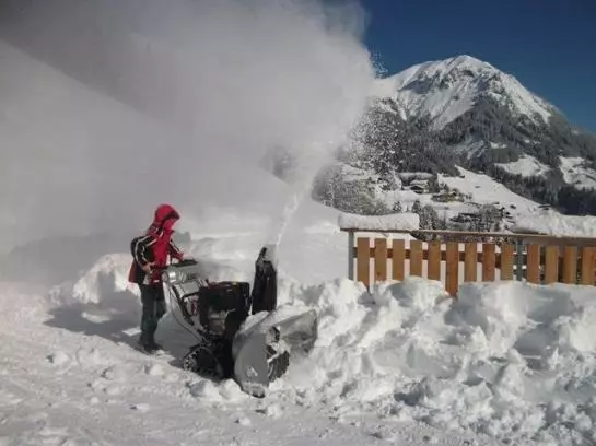 Familienbauernhof Burtscher