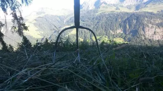 Familienbauernhof Burtscher