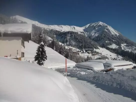 Familienbauernhof Burtscher