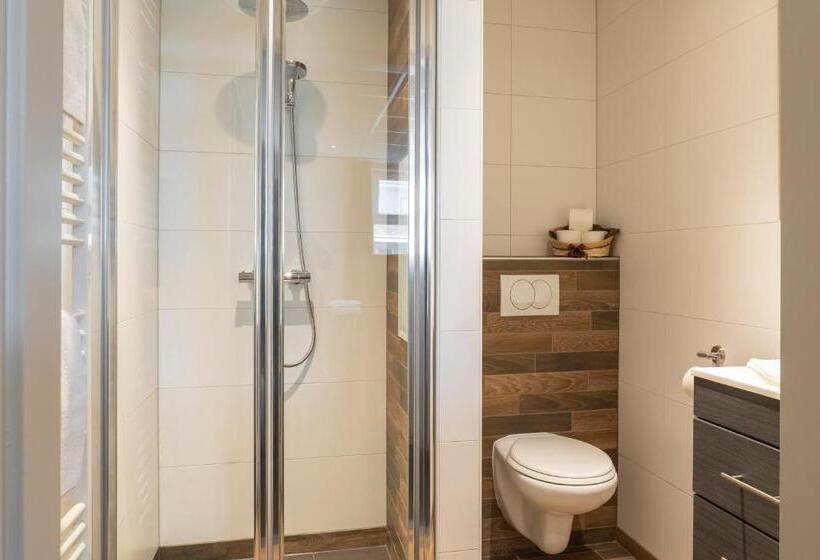 בית מלון כפרי De Ster Van Dwingeloo