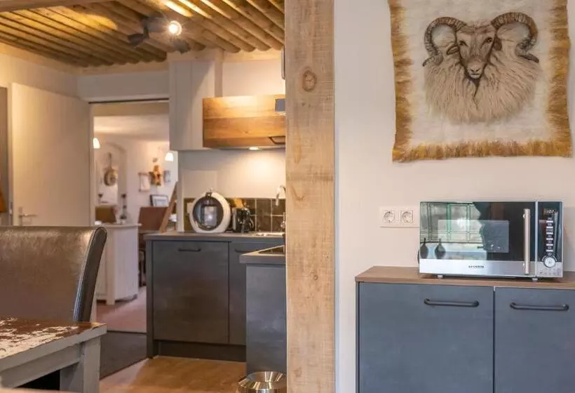 Szálloda De Ster Van Dwingeloo