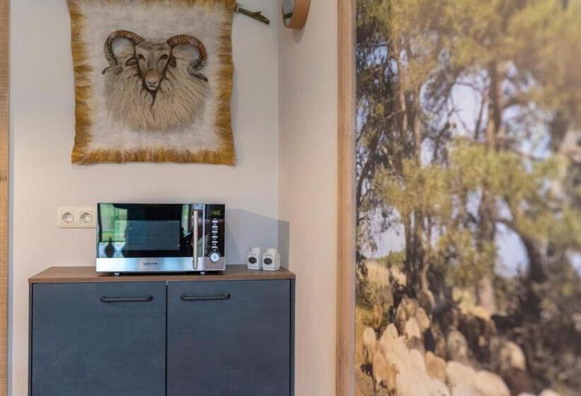 בית מלון כפרי De Ster Van Dwingeloo