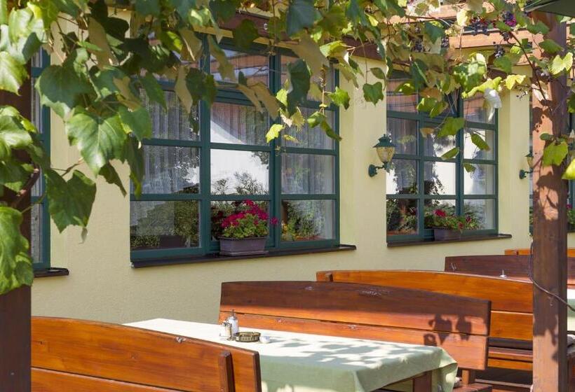 Burgenländerhof Hotel Garni