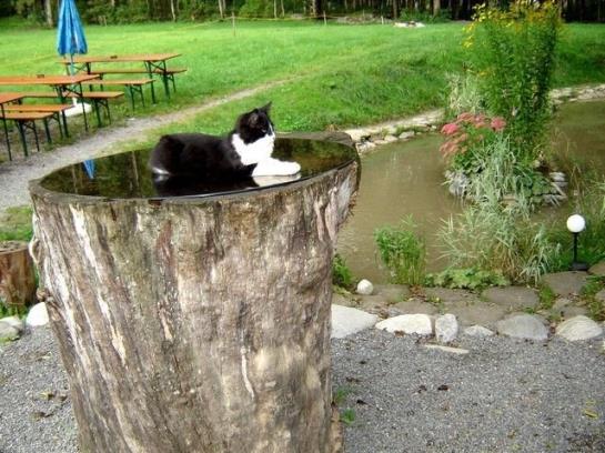 Отель Ferienhof Auf Der Heidegg