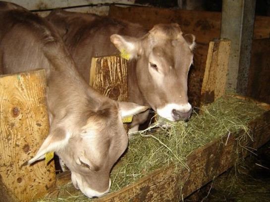 Отель Ferienhof Auf Der Heidegg