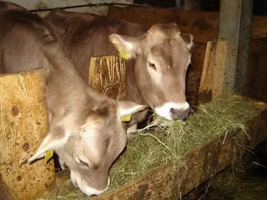 Отель Ferienhof Auf Der Heidegg