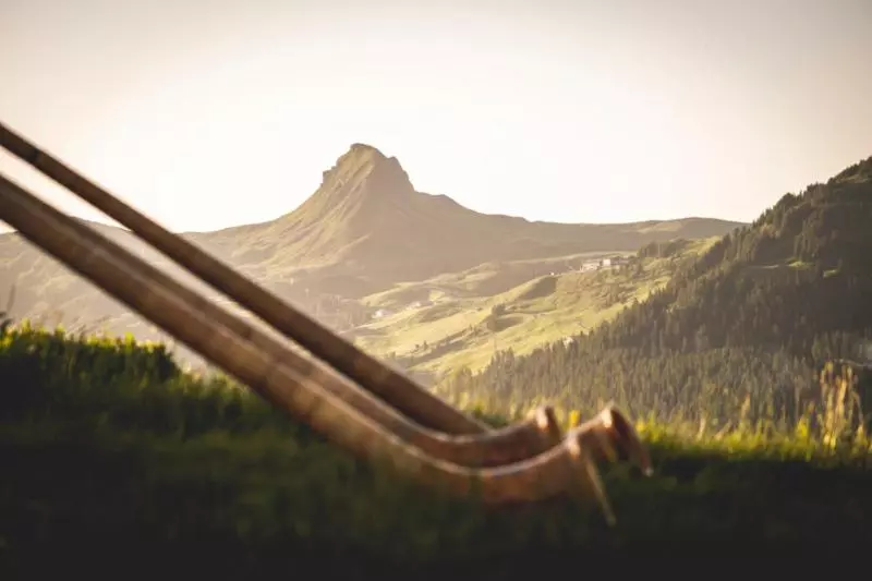 Отель Garni Alpina