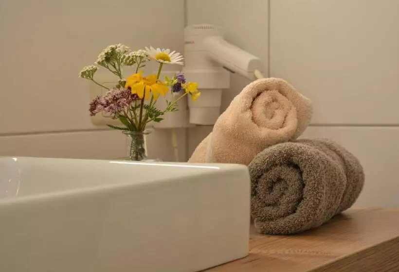 Отель Garni Alpina