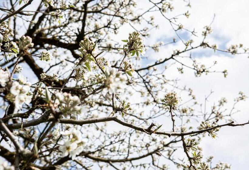 호텔 Gasthof Wälderhof