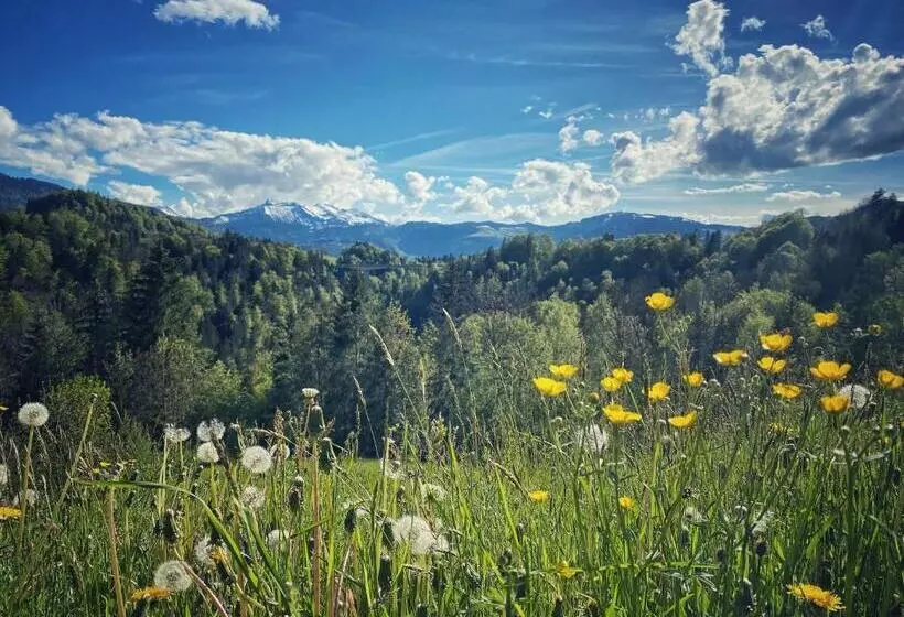 Отель Gasthof Wälderhof