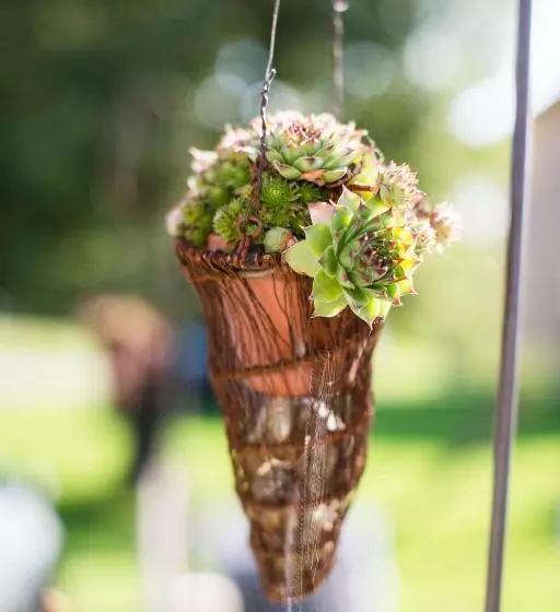 Отель Gasthof Wälderhof