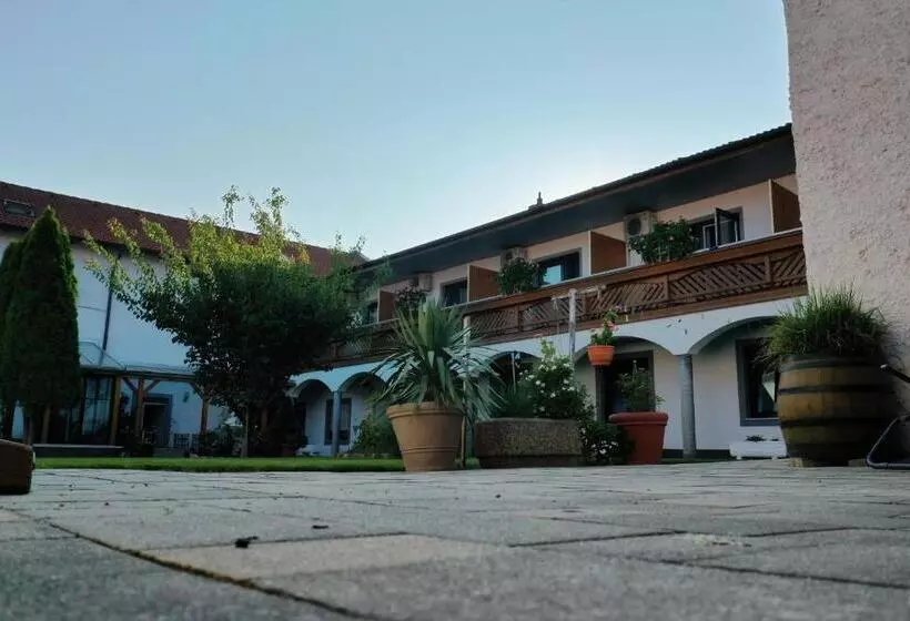 Hotelli Gästehaus Und Weinbau Zur Wiederkehr Strudler