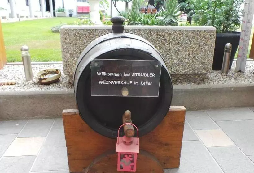 Hotelli Gästehaus Und Weinbau Zur Wiederkehr Strudler