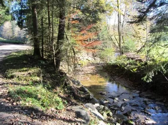 هتل Mühlenhof Mit Herrlichem Bodenseeblick
