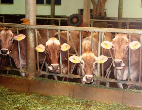 בית מלון כפרי Mühlenhof Mit Herrlichem Bodenseeblick