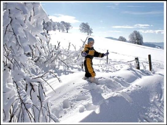 ホテル Mühlenhof Mit Herrlichem Bodenseeblick