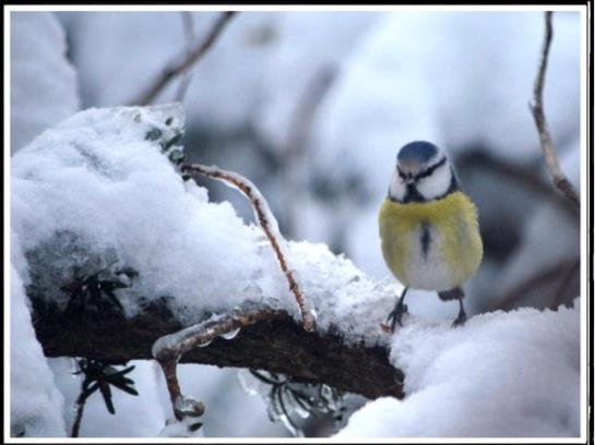 ホテル Mühlenhof Mit Herrlichem Bodenseeblick