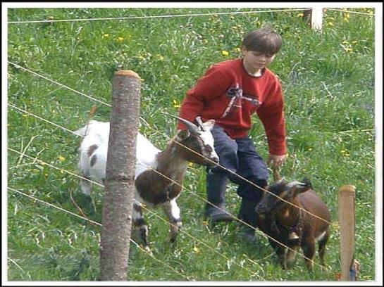 ホテル Mühlenhof Mit Herrlichem Bodenseeblick